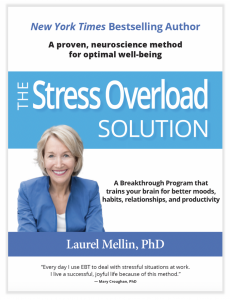 TheStressOverloadSolution_BOOKCOVER